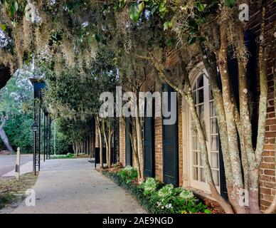 Spanisches Moos hängt von den Bäumen ausserhalb der Bellingrath Gardens, 24. Februar 2018, in Theodore, Alabama. Stockfoto