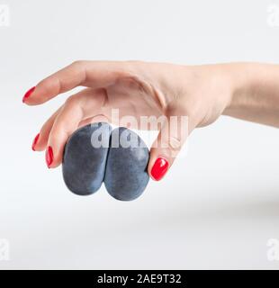 Trendy Hässliches Essen Konzept. Lila hässlich Pflaume in der Hand einer Frau, die auf einem weißen Hintergrund. Obst mit einer seltsamen Form. Das Problem von Speiseresten. Stockfoto