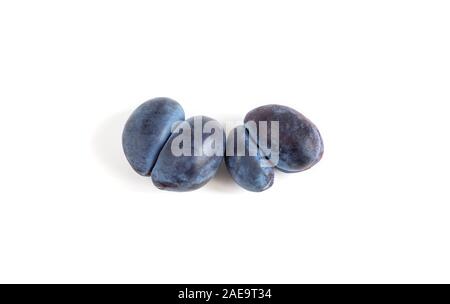 Trendy Hässliches Essen Konzept. Zwei violette Pflaumen auf einem weißen Hintergrund. Obst mit einer seltsamen Form. Das Problem von Speiseresten. Stockfoto