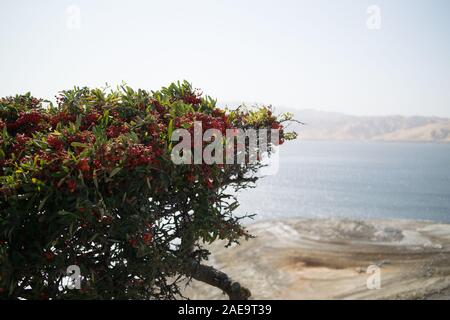 San Luis Reservoir, das 5. grösste Stausee in den USA, auf eine Muschel hellen Tag Ende Oktober. Stockfoto