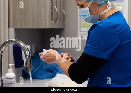 Ein Tierarzt bereitet eine Spay auf einem gelben Lab 6 Monate alten Hund ausführen, indem Sie schrubben in am Waschbecken in Ihrer Klinik. Stockfoto