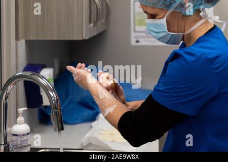 Ein Tierarzt bereitet eine Spay auf einem gelben Lab 6 Monate alten Hund ausführen, indem Sie schrubben in am Waschbecken in Ihrer Klinik. Stockfoto