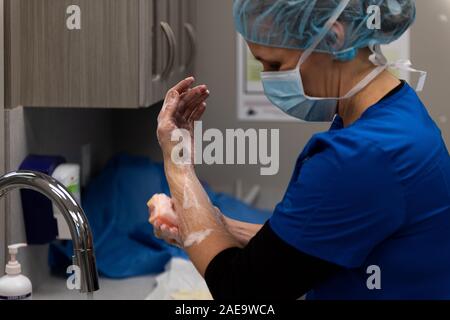 Ein Tierarzt bereitet eine Spay auf einem gelben Lab 6 Monate alten Hund ausführen, indem Sie schrubben in am Waschbecken in Ihrer Klinik. Stockfoto