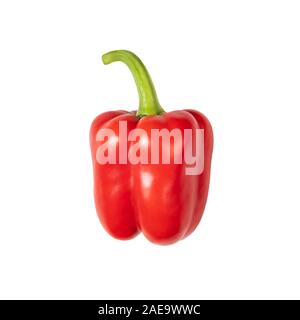 Red Paprika auf weißem Hintergrund. Frische reife Pfeffer mit grünem Stiel. Gesundes Essen. Stockfoto