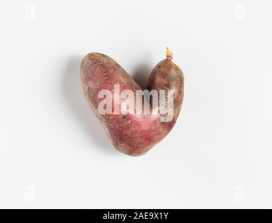 Trendy Hässliches Essen Konzept. Lustige Kartoffeln in die Form eines Herzens auf einem weißen Hintergrund. Gemüse mit einer seltsamen Form. Das Problem von Speiseresten. Stockfoto