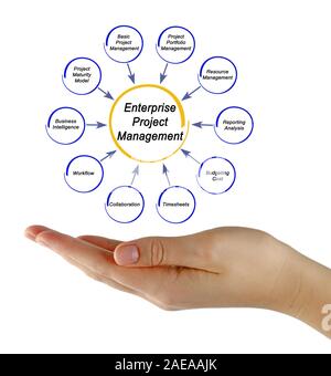 Enterprise Project Management Stockfoto