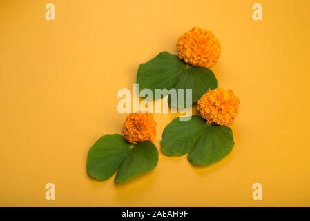 Indian Festival Dussehra, anzeigen Golden Leaf (Bauhinia racemosa) und Ringelblume Blüten auf gelbem Hintergrund. Stockfoto