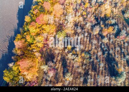 Ländliche Herbst Landschaft. Bäume mit bunten Blättern am Rand eines gepflügten Feldes Stockfoto