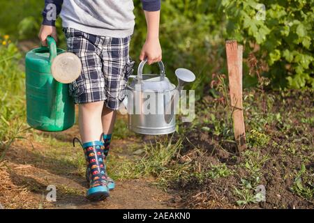 Kind Junge zwei große schwere Gießkannen mit Wasser. Kind Eltern helfen im Garten. Bewässerung von Pflanzen im Gemüsegarten. Sommer activiti Stockfoto