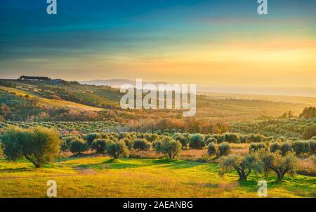 Maremma Sonnenuntergang Panorama. Die Landschaft, das Meer und die Insel Elba am Horizont. San Vincenzo, Toskana, Italien. Stockfoto