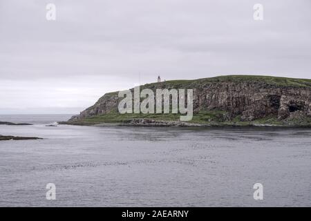 Tausende von Seevögeln bei Reinoya Insel, bei bewölktem helles Licht vor Vardo, Norwegen Schuß Stockfoto