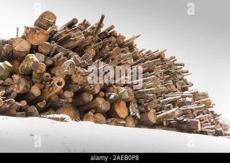 Stapel der gefällten Baumstämme im Schnee Stockfoto