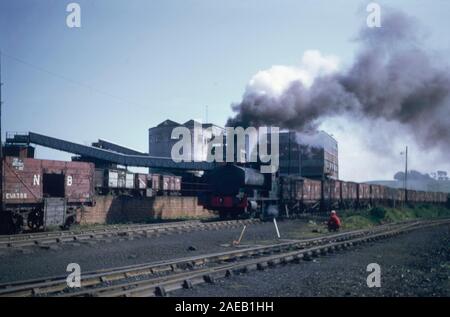 Nzb Dampfmaschine rangieren Kohle wagen, 1969, Dalmellington, West Ayrshire, South West Schottland, Großbritannien Stockfoto