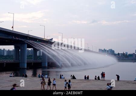 Hängen Sie den Fluss in Seoul am Abend mit Möwen Stockfoto