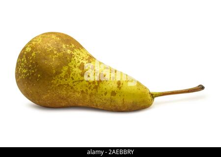 Pear-Konferenz auf Weiß isoliert Stockfoto