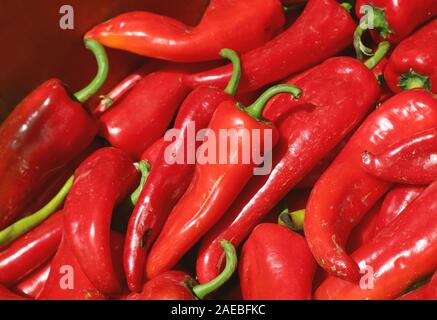 Haufen frische reife rote Sweet Chili Pfeffer für den Verkauf auf dem lokalen Markt in Georgien Stockfoto