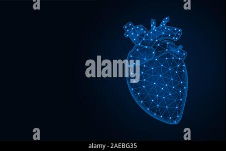 Menschliche Herz Low-Poly Modell, menschliche Organe abstrakte Grafiken, Anatomie polygonalen Drahtmodell Vector Illustration auf dunkelblauem Hintergrund Stock Vektor
