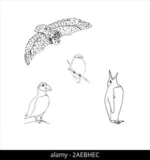 Einstellen des nördlichen Winter Vögel: Eule, Dompfaff, Papageientaucher, Pinguin. Schwarzer Umriss auf weißem Hintergrund. Bild kann in Grußkarten, Poster, Flyer, Banner, Logo verwendet werden, die weitere Gestaltung etc. Vector Illustration. EPS 10. Stock Vektor