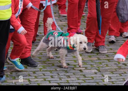 Harbourside, Bristol, UK, 8. Dezember 2019. Weihnachtsmänner laufen rund um den Hafen von Bristol für die Wohltätigkeitsorganisation Children's Hospice South West. Jeder Teilnehmer Geld für die Nächstenliebe, ob Sie Laufen, Joggen oder Walken in Santa hat 4 Beine. Die Nächstenliebe betreibt drei Hospize im Südwesten. Credit: Herr Standfast/Alamy leben Nachrichten Stockfoto