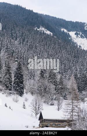 Stabile, Kuhstall für Kühe und Pferde. Bauernhof Gebäude aus Stein und Holz. Winter Berge in den Alpen. Das Gebäude, Bäume und Berge. Stockfoto