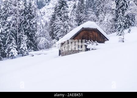 Stabile, Kuhstall für Kühe und Pferde. Bauernhof Gebäude aus Stein und Holz. Winter Berge in den Alpen. Das Gebäude, Bäume und Berge. Stockfoto