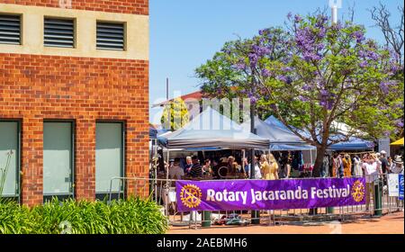 Jacaranda Baum in voller Blüte während des Rotary Jacaranda Festival 2019 in Thalwil Dorf Ardross Street Perth Western Australia. Stockfoto