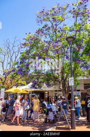 Jacaranda Baum in voller Blüte während des Rotary Jacaranda Festival 2019 in Thalwil Dorf Ardross Street Perth Western Australia. Stockfoto
