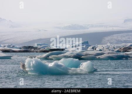 Eisberge in der gletscherlagune Joekulsarlon driften, den größten Gletscher Europas, Vatnajoekull im Hintergrund, Island. Stockfoto