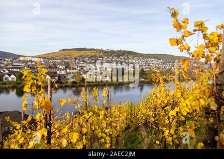 Malerischer Blick auf Bernkastel-Kues und die Mosel im Herbst mit bunten Blätter im Weinberg an einem sonnigen Tag Stockfoto