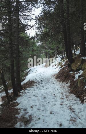 Foto bei Vall de Nuria, Spanien. Herbst im spanisch Pirineos. Stockfoto