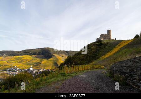 Malerischer Blick auf Burg Landshut in Bernkastel-Kues an der Mosel im Herbst mit bunten Weinberge Stockfoto