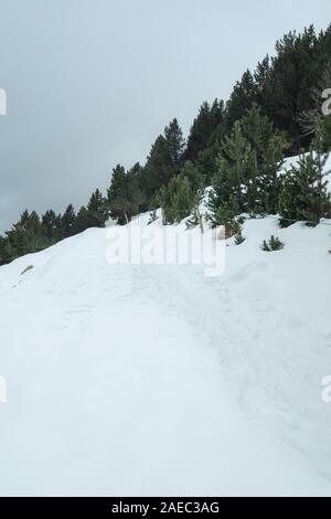 Foto bei Vall de Nuria, Spanien. Herbst im spanisch Pirineos. Stockfoto