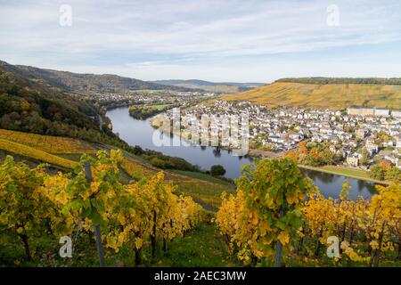 Malerischer Blick auf Bernkastel-Kues und die Mosel im Herbst mit bunten Blätter im Weinberg an einem sonnigen Tag Stockfoto