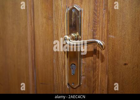 Modren stil gold Türgriff auf natürlichen hölzernen Tür. Alte Tür mit Griff und Schloss. Türgriff. Stockfoto