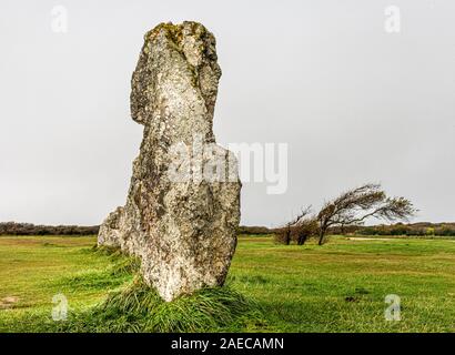 Standing Stones in der Bretagne. Ausrichtung der Menhire auf der grünen Wiese an einem regnerischen Tag. Ein Baum wurde durch die Kraft des Windes. Stockfoto