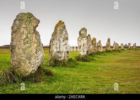 Standing Stones in der Bretagne. Ausrichtung der Menhire auf der grünen Wiese und unter einem grauen Himmel. Stockfoto