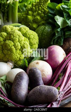 Große Backform mit frischen gemischten bunten Gemüse, Gurken, Tomaten, Broccoli, Auberginen, Kürbisse, Kartoffeln, Salat, Paprika Stockfoto