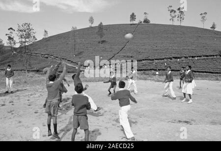 Schoolkids spielen eine Kugel in der Mitte der Teeplantagen in der Nähe von Nurya Eliya auf Sri Lanka Insel Stockfoto