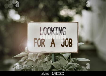 Text Zeichen zeigen auf der Suche nach einem Job. Business Foto text Arbeitslose, die eine Arbeit suchen Rekrutierung Huanalysis Ressourcen einfach leeren Papier zu einer Stic befestigt Stockfoto