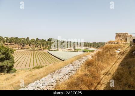 Anzeigen von Tel Lachis, Western Israel, mit Blick auf die Felder und Hebron Tal. Dies war die zweitwichtigste Stadt im südlichen Königreich. Stockfoto