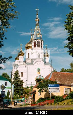 Kamyenyets, Region Brest, Weißrussland. St. Simeon orthodoxe Kirche In sonnigen Sommertag In Kamenez. Stockfoto