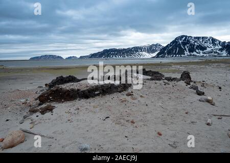 Alte Walfang Camp. Bleibt der Ofen für die Herstellung von Wal Fett. Spitzbergen, Svalbard Inseln, Norwegen Stockfoto