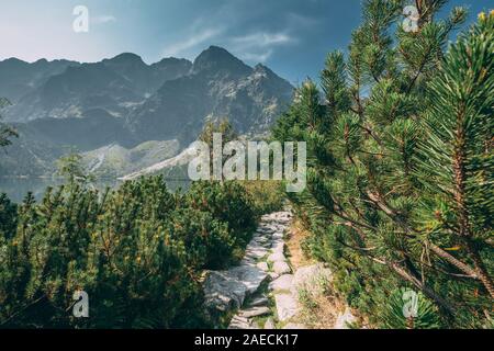 Nationalpark Tatra, Polen. Trail in der Nähe von den Bergen See Morskie Oko See oder Meer Auge in Morgen Sommer. Fünf Seen Tal. Landschaftlich schöne Aussicht. Europa Stockfoto