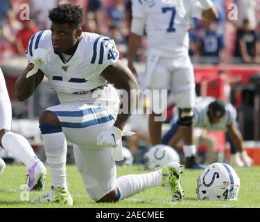 Tampa, Florida, USA. 8 Dez, 2019. Indianapolis Colts linebacker Matthew Adams (49) erstreckt sich vor dem NFL Spiel zwischen den Indianapolis Colts und die Tampa Bay Buccaneers bei Raymond James Stadium in Tampa, Florida statt. Andrew J. Kramer/Cal Sport Media/Alamy leben Nachrichten Stockfoto