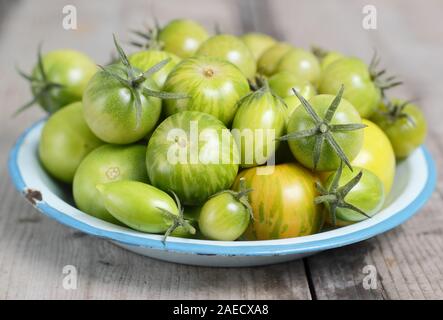 Solanum Lycopersicum. Unreife grüne Tomaten in einem blauen Metall Teller auf Holz Oberfläche. Stockfoto