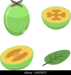 Feijoa Symbole gesetzt, isometrische Stil Stock Vektor