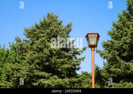 Street Lamp unter den großen Tannen gegen den sonnigen blauen Himmel Stockfoto