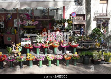 Blumen für den Verkauf auf der Rambla, einer der belebtesten Fußgängerzone Durchgangsstraßen in Barcelona. Stockfoto