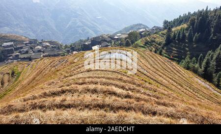 Die Landschaft wellig Longsheng Reisterrassen nach der Ernte - Nord Guillin, Guangxi Provinz, China Stockfoto