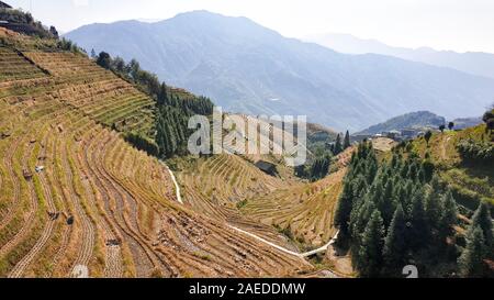 Die Landschaft wellig Longsheng Reisterrassen nach der Ernte - Nord Guillin, Guangxi Provinz, China Stockfoto